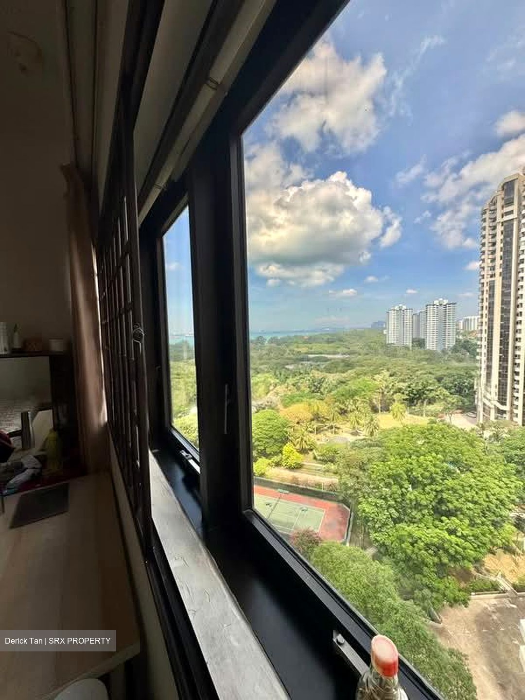 Bayshore Park (D16), Condominium #553910511